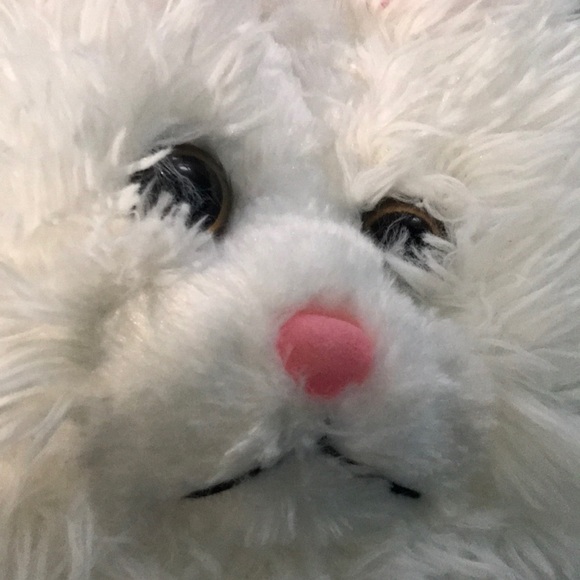 Meet your Posher, Sam - Picture 1 of 1